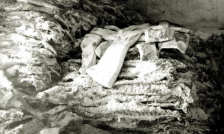 Imagini inedite din vechiul Cluj - Abatorul, anii 1941-1943