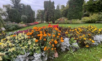 Gratis de „Ziua Internațională a Seniorilor” la Grădina Botanică din Cluj