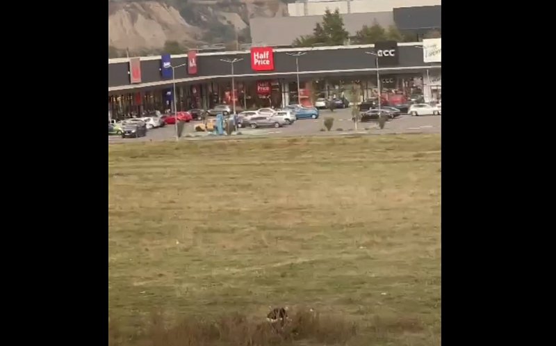 Își face nevoile, ziua în amiaza mare, pe câmpul de lângă noul mall