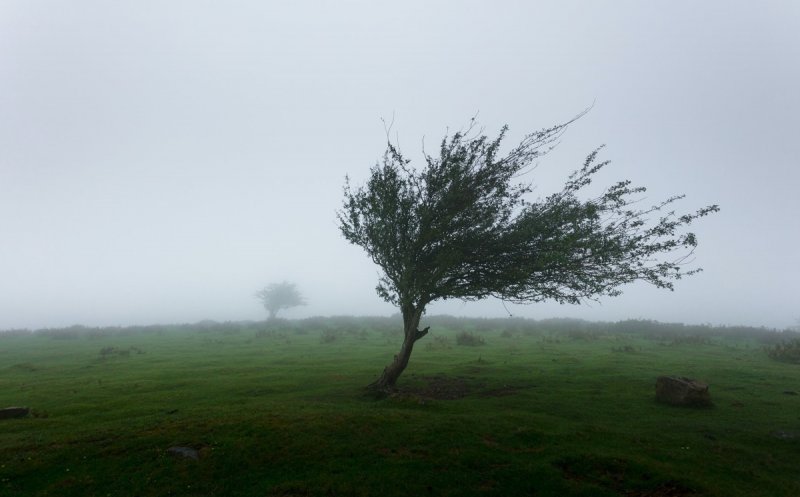 Atenționare meteo de vânt puternic în Cluj! Rafalele pot ajunge până la 110 km/h