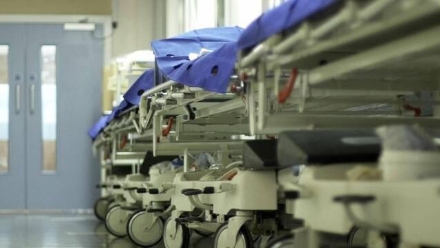 Au mai murit trei români infectați cu West Nile/ Clujul, printre zonele cu cele mai multe îmbolnăviri