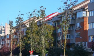 La Turda, continuă plantarea arborilor pe Coridorul Central / Primarul Cristian Matei: „Un oraș verde e un oraș frumos”