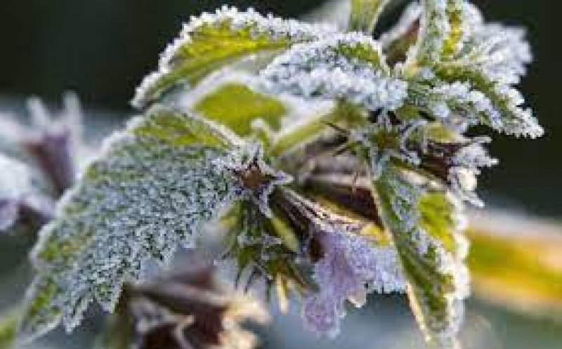 Începutul de noiembrie aduce frigul!