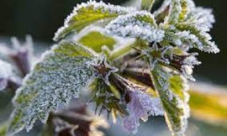 Începutul de noiembrie aduce frigul!