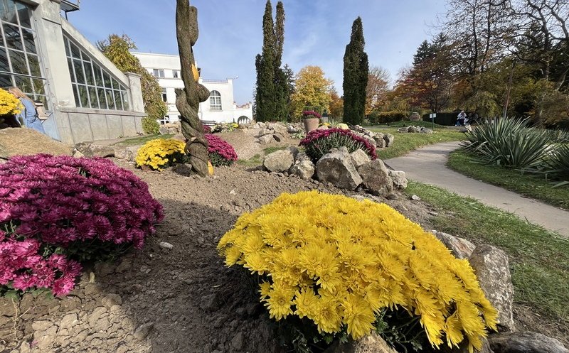 Grădina Botanică trece la programul de iarnă