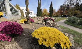 Grădina Botanică trece la programul de iarnă