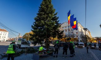 Bradul de Crăciun a ajuns în Piața Unirii