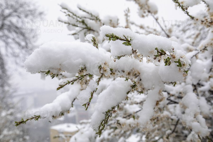 Vremea se schimbă radical. Meteorologii anunță şi NINSORI