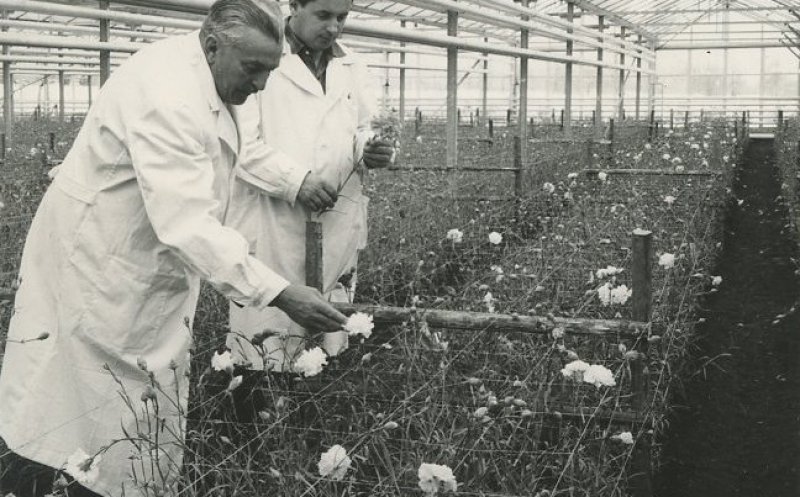 Cercetatorul Rudolf Palocsay, anul 1965