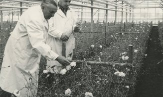 Cercetatorul Rudolf Palocsay, anul 1965