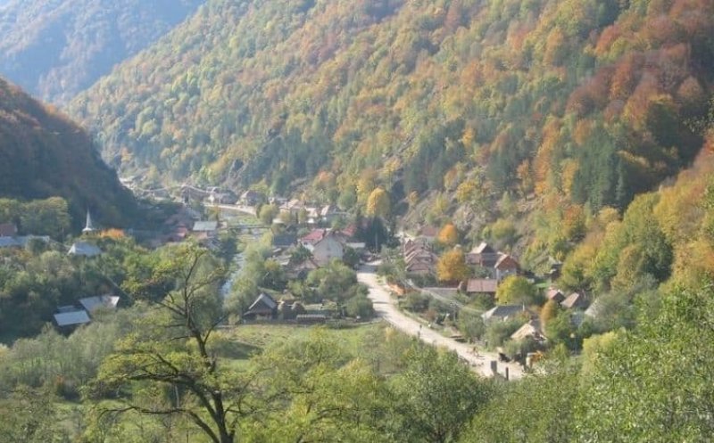 Pădurari din Valea Ierii și administratorul unei firme cu activităţi în domeniul silvic, reținuți de polițiștii clujeni. De ce sunt suspectați