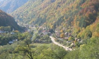 Pădurari din Valea Ierii și administratorul unei firme cu activităţi în domeniul silvic, reținuți de polițiștii clujeni. De ce sunt suspectați