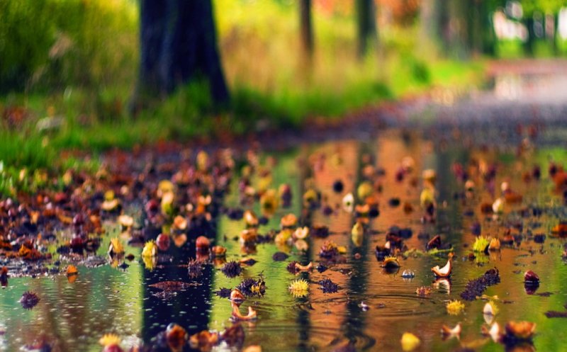 Vremea se schimbă radical din weekend. Când vom avea temperaturi de 16°C