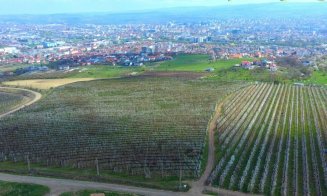 Locuințe pe 3.3 ha din Ferma Steluța / Cifră de faceri de 8.4 milioane lei în 2023