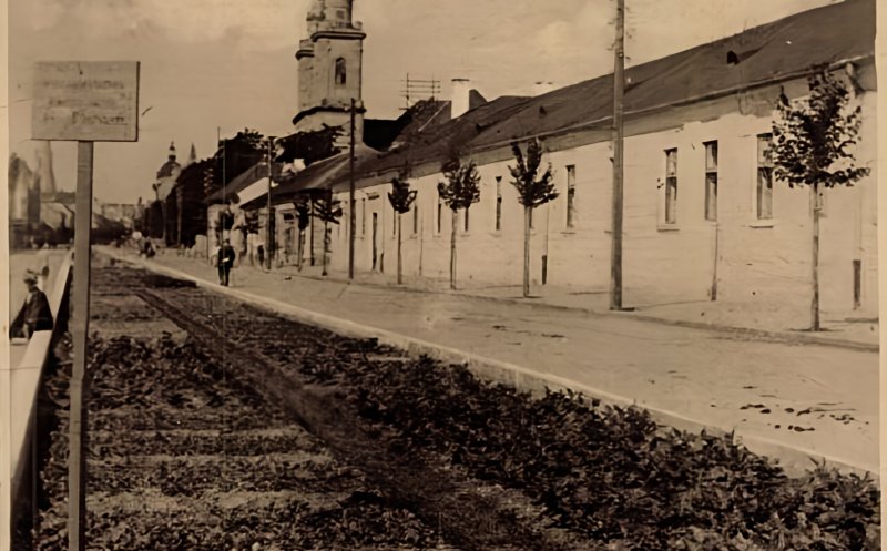 Vechiul Cluj: aranjamentele florale de la mijlocul străzii, transformate în grădini de zarzavaturi