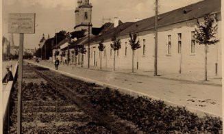 Vechiul Cluj: aranjamentele florale de la mijlocul străzii, transformate în grădini de zarzavaturi