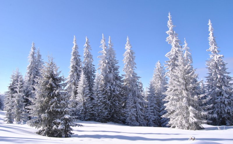 Cum va fi vremea în luna decembrie