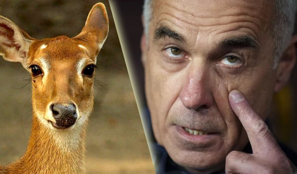 Pro-rusul Georgescu declară război saloanelor de înfrumusețare. A comparat femeia cu un animal, care nu se duce la pensat