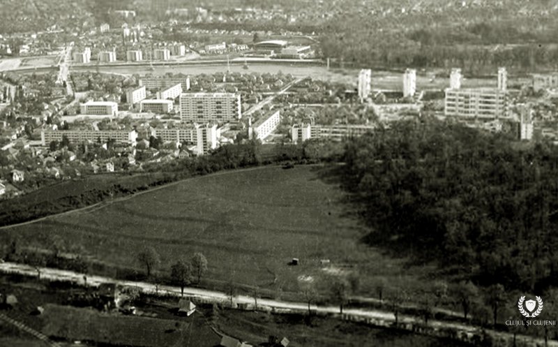 Fotografie aeriană a Parcului etnografic Romulus Vuia, 1966