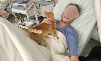 Cum a salvat o pisică viaţa unui refugiat din Harkov, căzut într-o râpă în Munţii Maramureşului