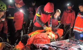 Cum a salvat o pisică viaţa unui refugiat din Harkov, căzut într-o râpă în Munţii Maramureşului