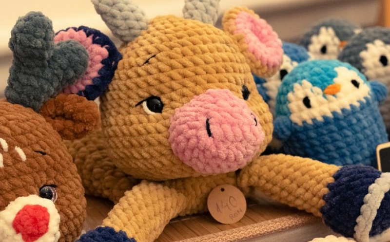 Târg caritabil la Cluj! 155 de copii au nevoie de ajutor pentru a merge la școală