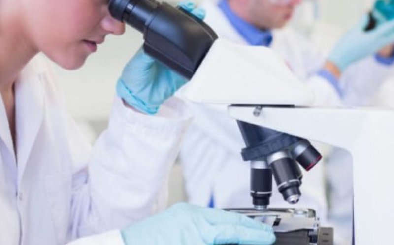 Oamenii de știință cer oprirea cercetărilor privind bacteriile sintetice: „Un risc fără precedent pentru viața pe Pământ”