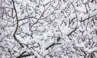 Iarnă à la Cluj în IMAGINI