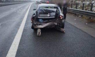 ACCIDENT cu 4 maşini pe Autostrada Transilvania / 3 victime