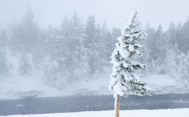 Vânt puternic în zona de munte a Clujului! Rafalele ating 120-130 km/h