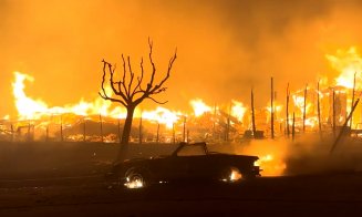 INFERN în Los Angeles: Ard vilele de milioane de dolari ale vedetelor / 5 morți până acum, dar numărul deceselor ar putea crește