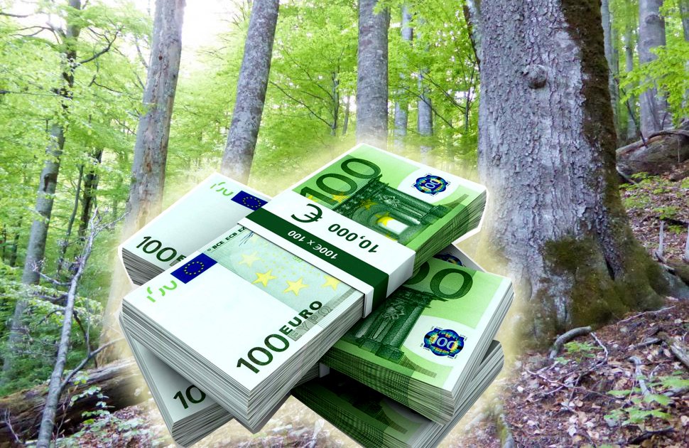 Bonus de 100.000 de euro la pensionare la compania de stat Romsilva / Ministrul Mediului: ”Sunt nişte prime neruşinate”