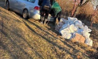 Clujeni, prinși în timp ce aruncau gunoi pe câmp. Ce amendă au primit