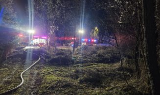 Cabană de lemn din judeţul Cluj făcută scrum în urma unui incendiu de proporţii / Care a fost cauza