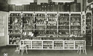 Clujul vechi: Magazinul Parisien