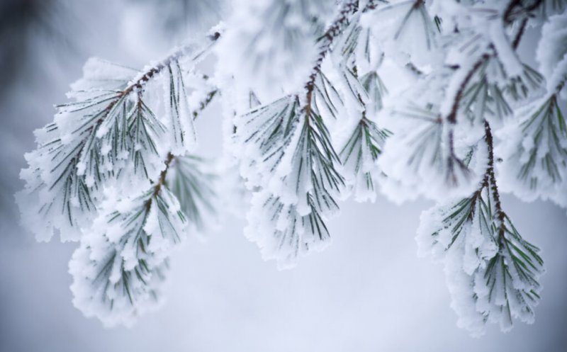 România, sub cod galben de zăpadă viscolită și vreme rece, cu temperaturi de până la -20°C  / Prognoza pentru Cluj