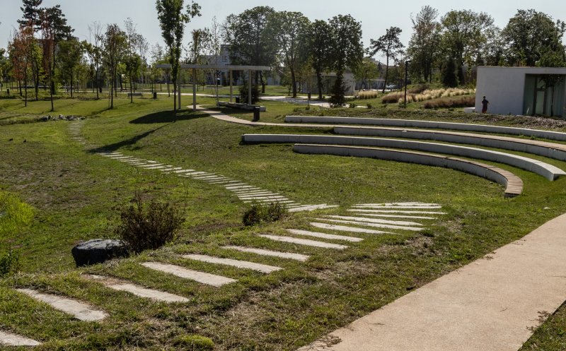 Cluj-Napoca: Tratamente fitosanitare pentru arborii din oraș