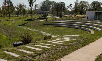 Cluj-Napoca: Tratamente fitosanitare pentru arborii din oraș