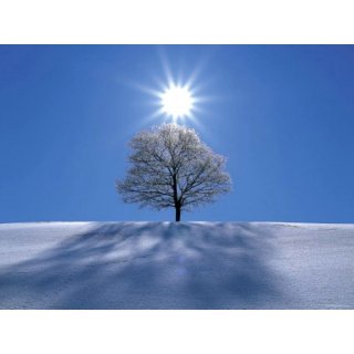 Am scăpat de iarnă? Cum va fi vremea în luna lui Mărțișor