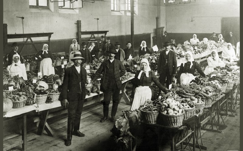 Hoștezenii Clujului