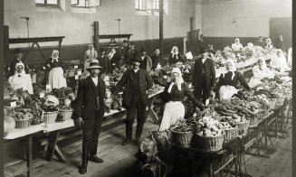 Hoștezenii Clujului