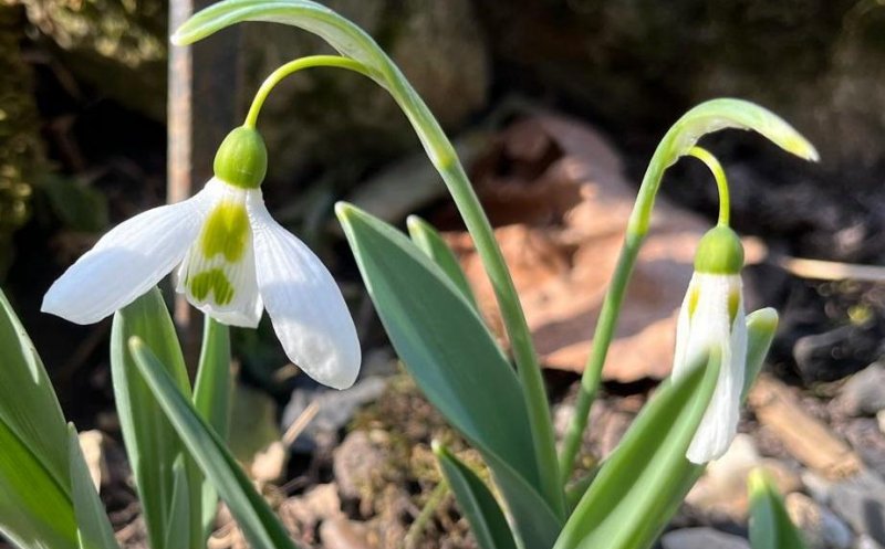 Vreme deosebit de caldă în această săptămână; de săptămâna viitoare, se răcește și revin precipitațiile