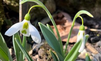 Vreme deosebit de caldă în această săptămână; de săptămâna viitoare, se răcește și revin precipitațiile