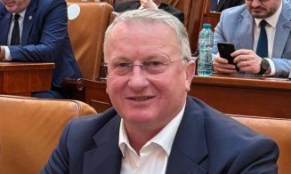 Ce măsuri propune deputatul Remus Lăpușan în domeniile educației și culturii. Critici la adresa programului lui Iohannis „România educată”