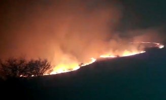 Clujenii nu se potolesc cu pârjolitul naturii / 24 de intervenții la inceniile de vegetație, bilanțul pe luni