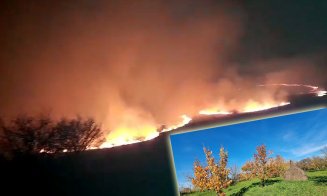 Clujenii nu se potolesc cu pârjolitul naturii / 24 de intervenții la inceniile de vegetație, bilanțul pe luni