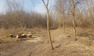 „Defrișări” de copaci în cel mai mare parc din Cluj-Napoca