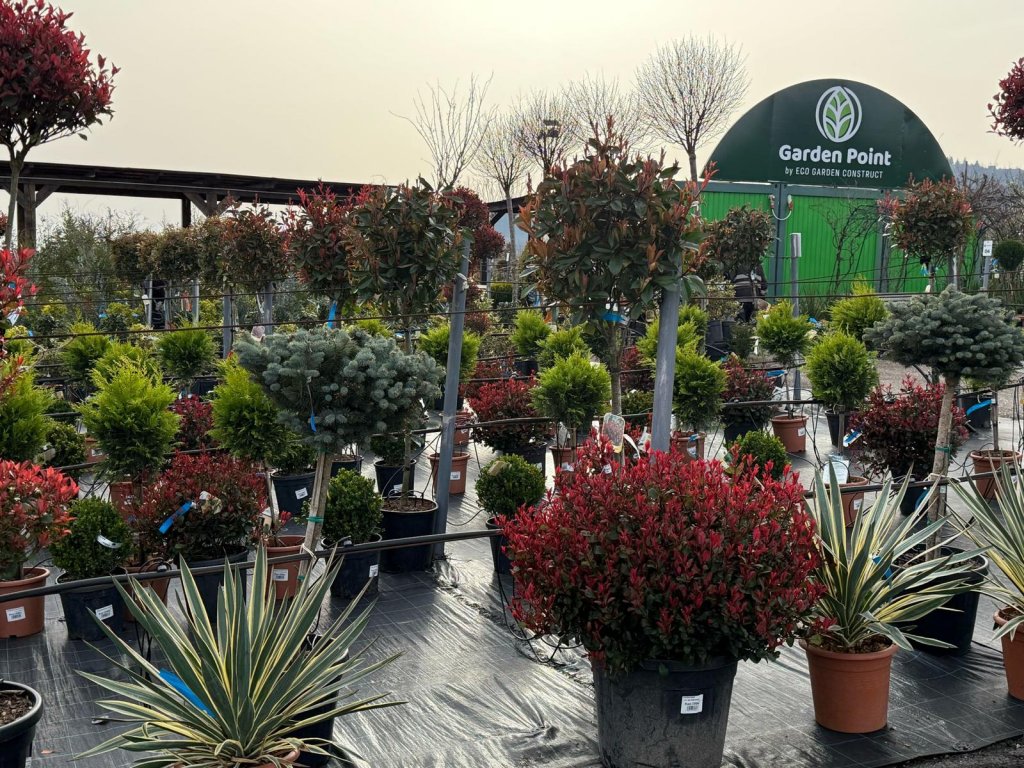 A venit primăvara la Garden Point by Eco Garden Construct, "hypermarket-ul" de plante de pe Calea Turzii