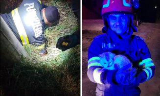 Pisică blocată într-o țeavă pe un șantier / Cum au salvat-o pompierii clujeni