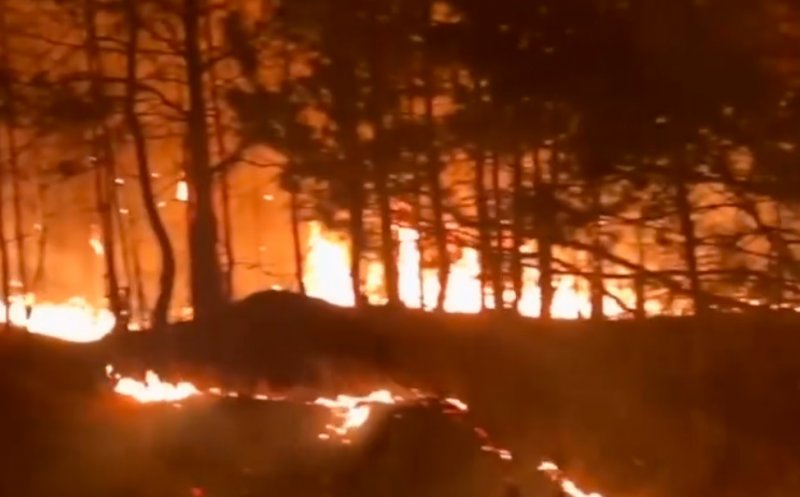 ISU Cluj, campanie pentru prevenirea incendiilor de vegetație uscată
